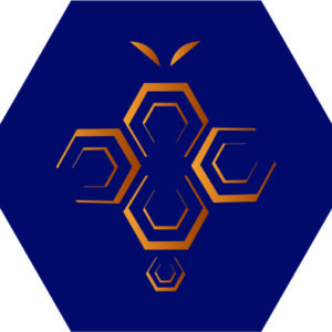 Logo Be-eCoaching représentant une abeille stylisée en alvéoles hexagonales